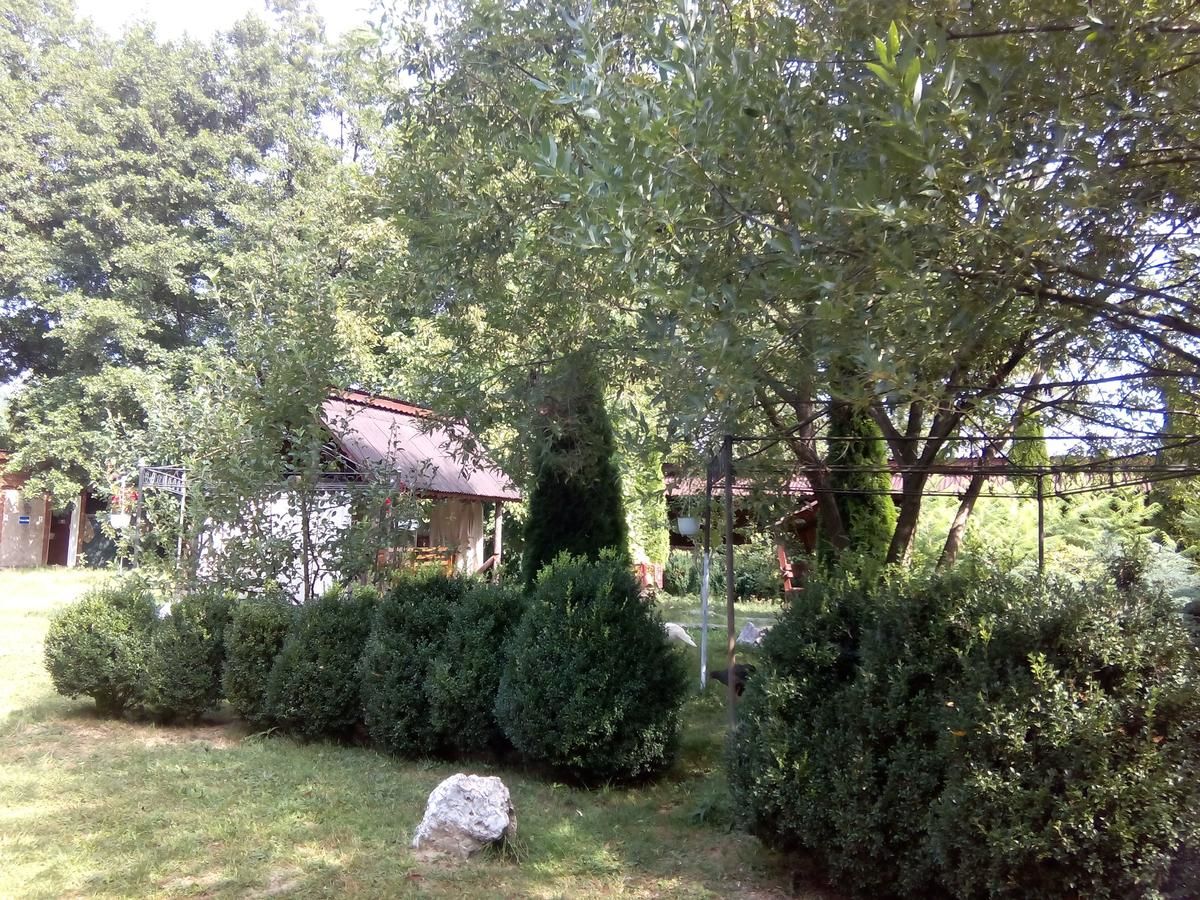 Гостевой дом Pensiunea Casa Bratia Băjeşti-23
